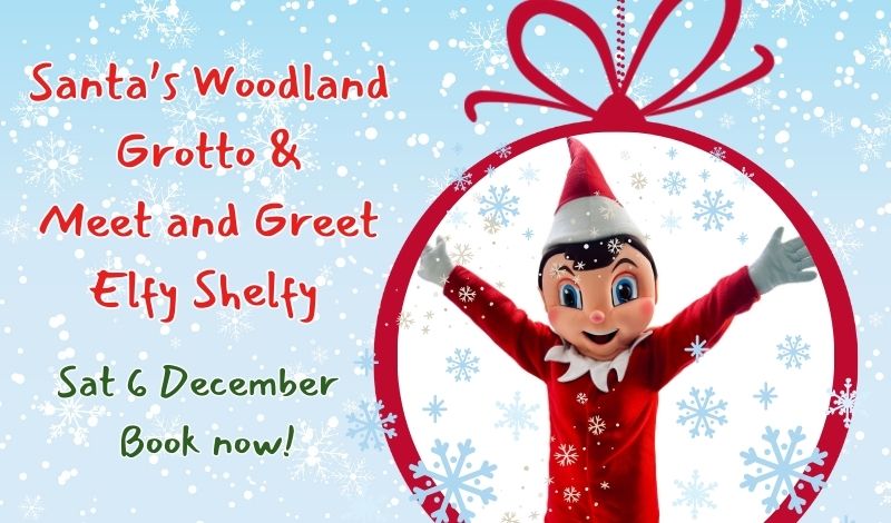 Meet & Greet Elfy Shelfy article image